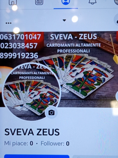 SvevaZeuss